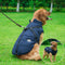 Abbigliamento invernale per cani