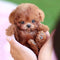 Realistic Interactive Robot Puppy | Lifelike Electronic Pet Dog with Voice Control and Touch Sensors | Companion Toy